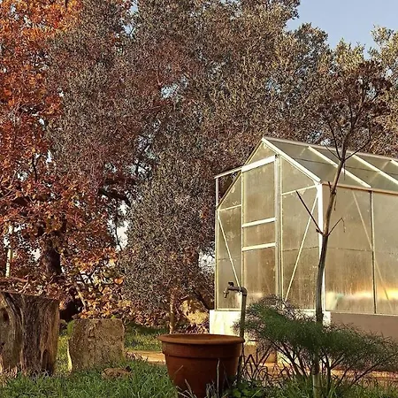 Masseria Lojazzo צ'לייה מספיקה