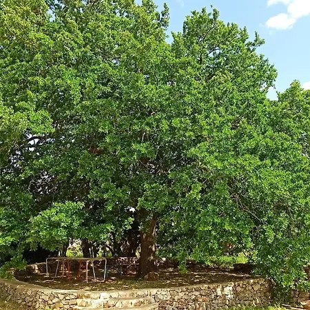 Masseria Lojazzo *