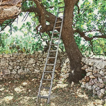 Masseria Lojazzo * צ'לייה מספיקה
