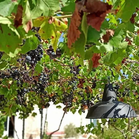 Masseria Lojazzo לינה וארוחת בוקר צ'לייה מספיקה