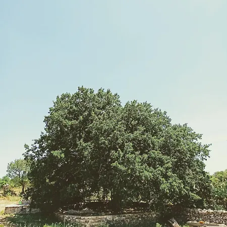 Masseria Lojazzo *