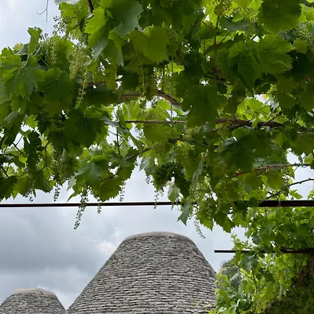 Masseria Lojazzo * Ceglie Messapica